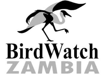 BirdWatch Zambia