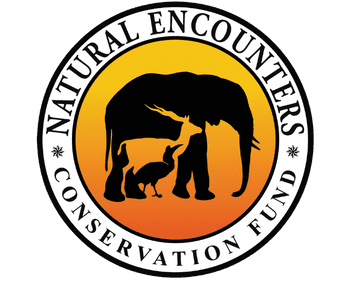 Natural Encounters Conservation Fund