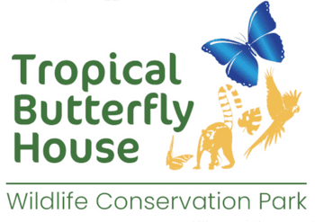 The Tropical Butterfly House