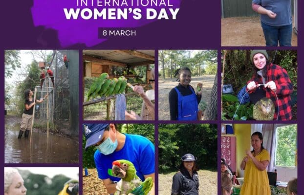 Celebrating Women in Parrot Conservation: Honouring Passion, Resilience, and Leadership