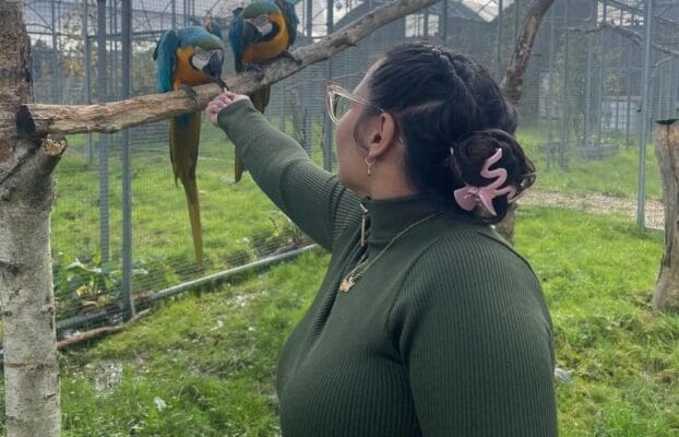 Collaboration: Joymeer from Puerto Rico Parrot Conservation visits Kiwa Centre