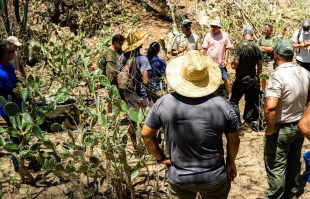 Native Vegetation Reforestation Workshop